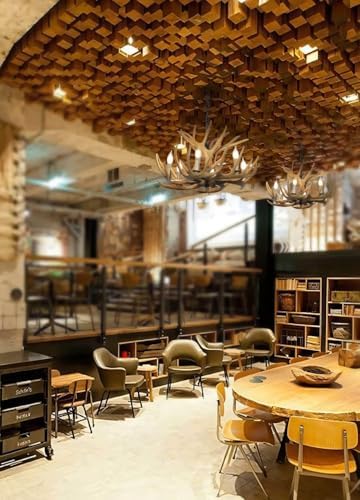 Luxury Iron Chandelier IC0047
